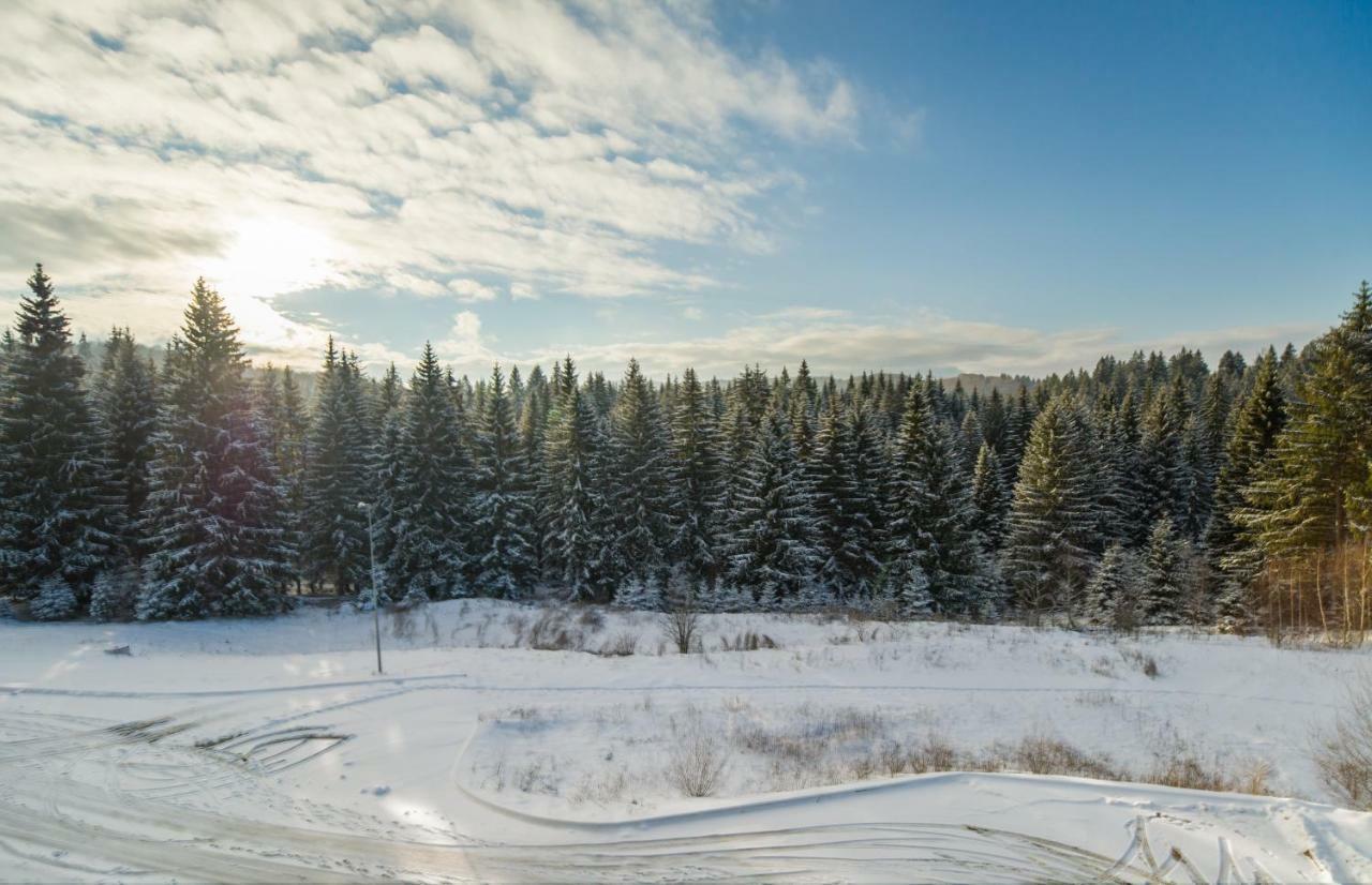 Timber View Apartment Silver Mountain Poiana Braşov Exterior foto